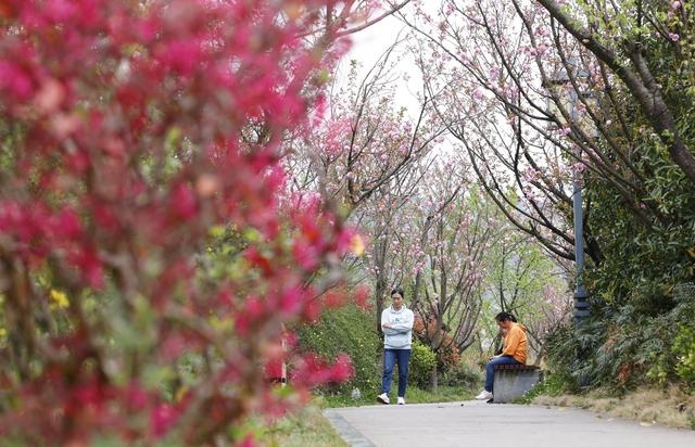 贵阳乌当有草坪的公园,贵阳市乌当区鲜花