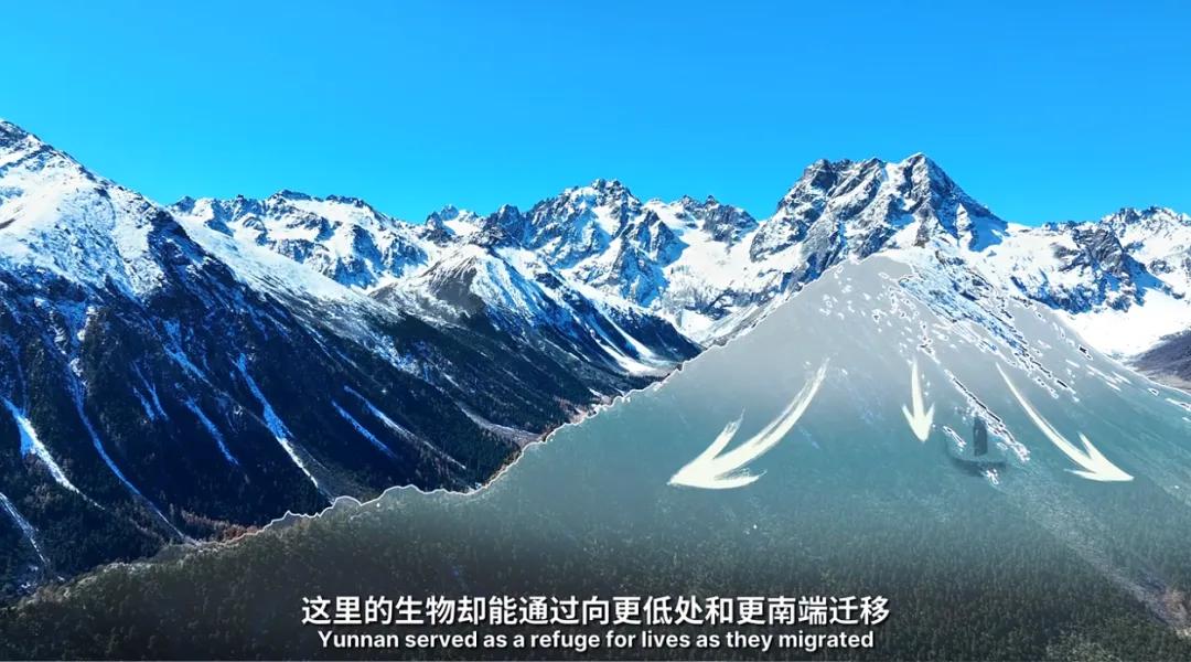 万千气象看云南|《什么是云南》，这就是云南！