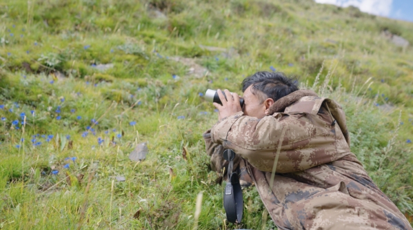 世界雪豹保护日,世界雪豹分布的国家数量