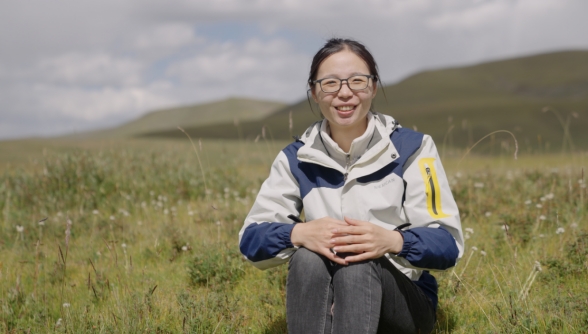 世界雪豹日宣传片,世界雪豹