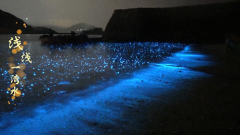 东部战区mv月满海峡完整版,东部战区中秋节