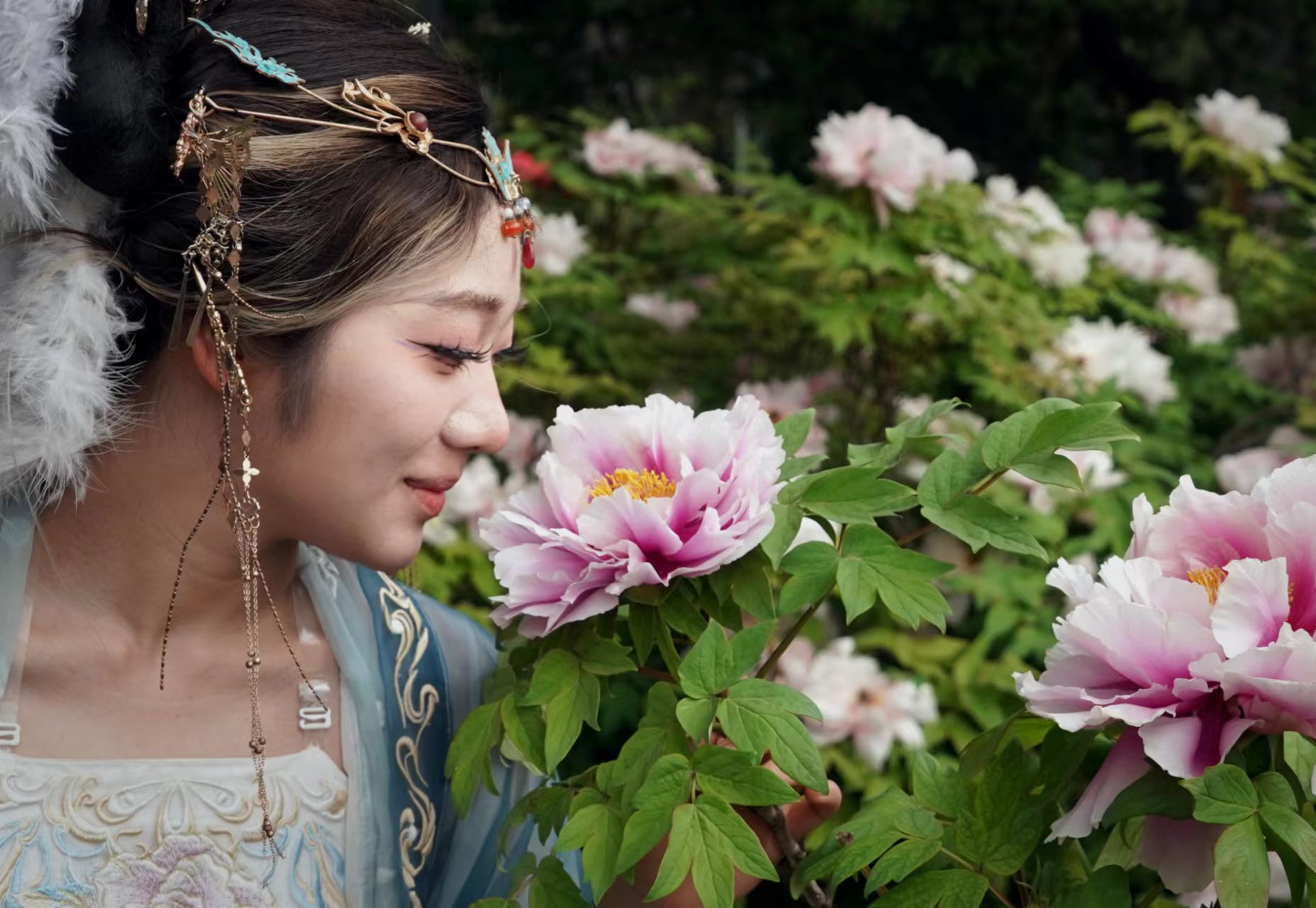 疑是洛川神女作书法,疑是洛川神女作的解释