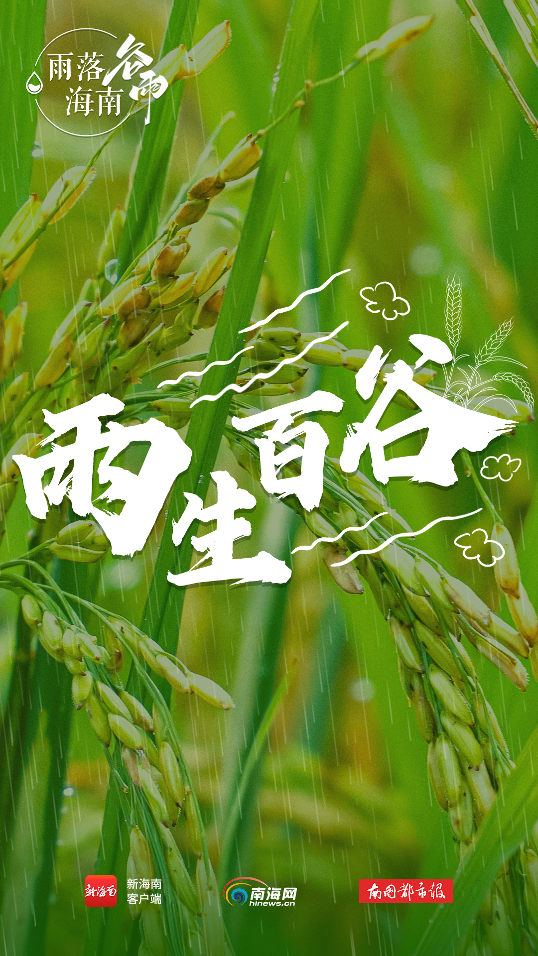 万物生长海报图片,海报下雨