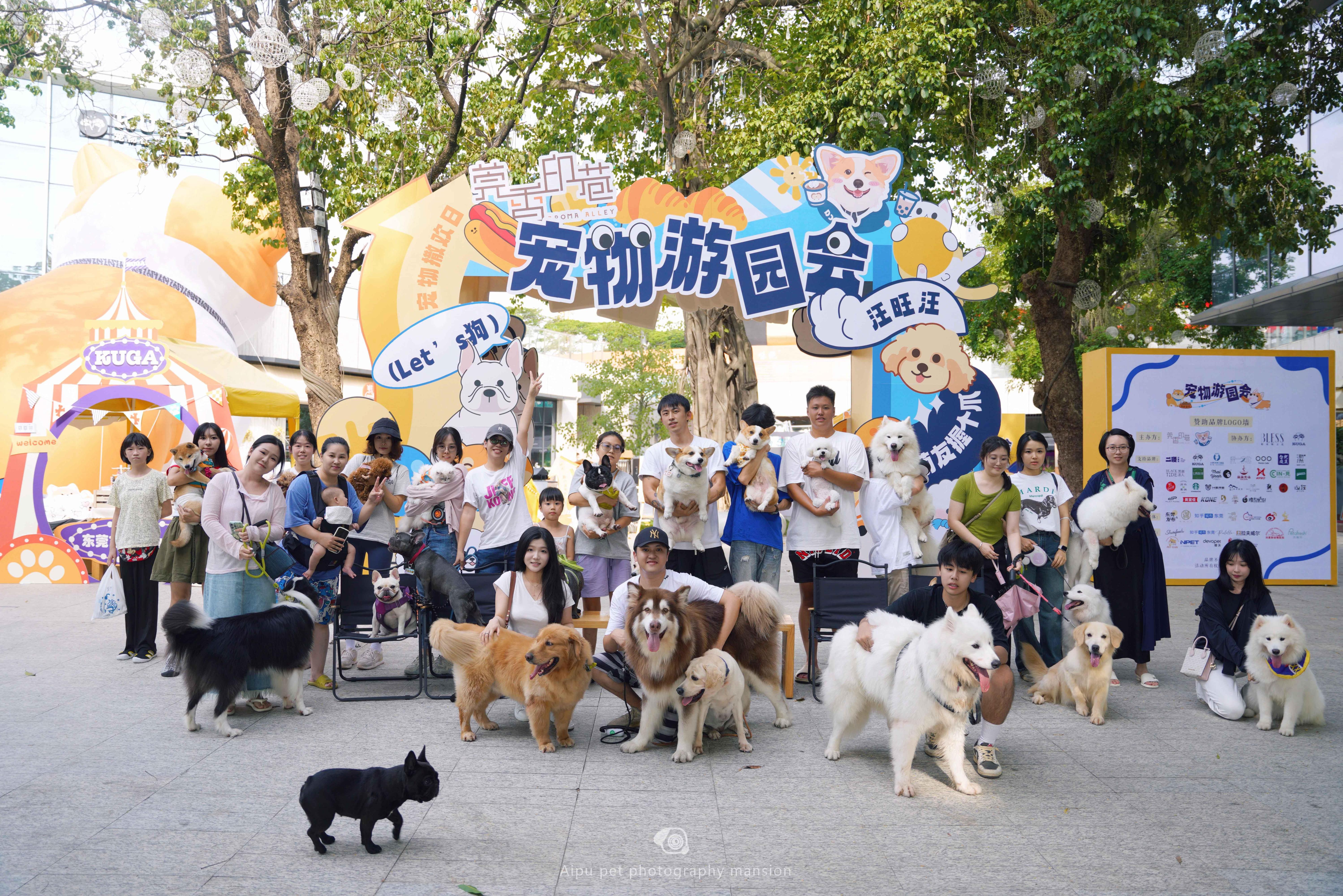 你就宠他吧谐音,你就宠他吧在线阅读