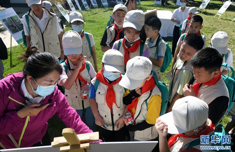 央视聚焦武汉高质量发展,武汉园林绿化建设发展