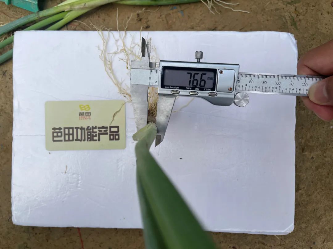 用芭田复合肥种花生好吗,芭田肥料优缺点