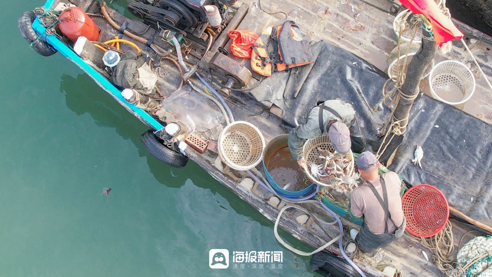 日照海鲜海蜇专卖,日照小螃蟹价格最新行情