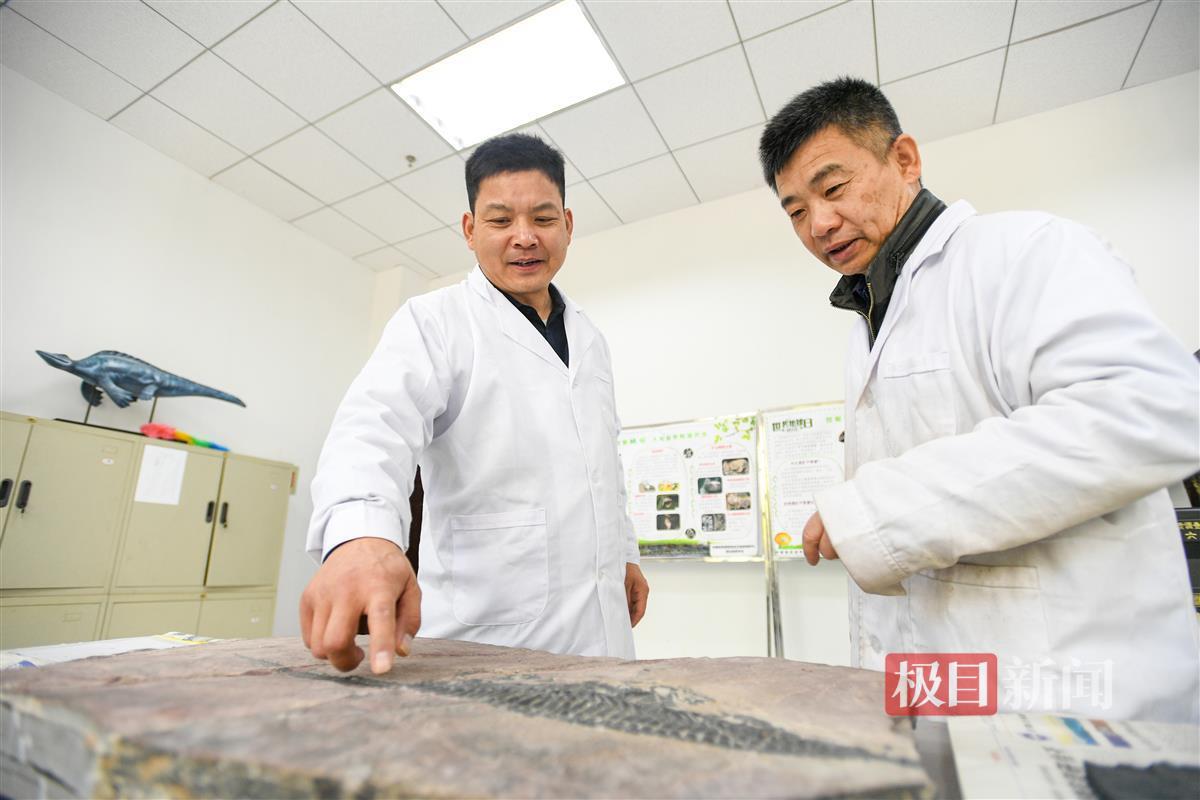 身藏闹市“修”龙骨