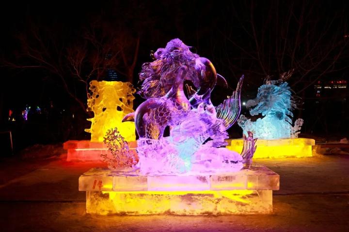 哈尔滨华德学院冰雪学院,哈尔滨华德学院文化理念