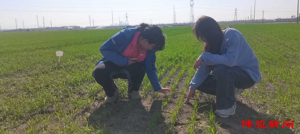 走进千强镇|唐山镇演绎“膜法传奇”