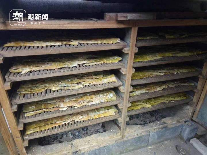 用什么办法来保存新鲜的笋,专家讲新鲜竹笋咋保存最有营养